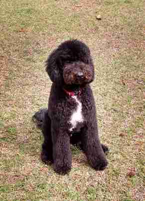 The Coolest Small Town in America!, Beaufort, Carteret- The Crystal Coast, North Carolina United States