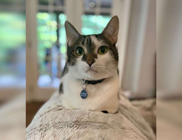 Atlanta, Georgia, United States