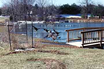 Herndon,Virginia,United States