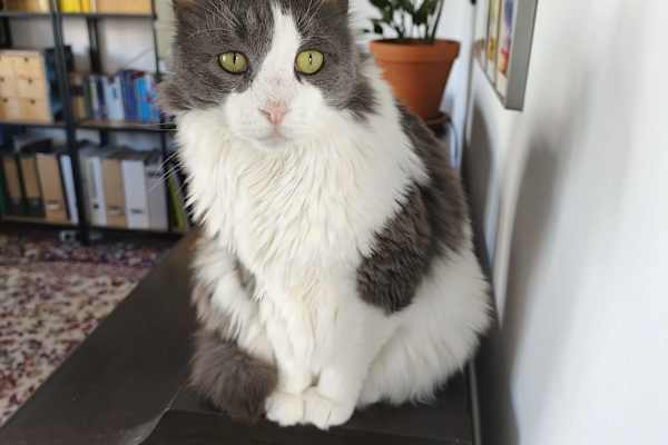 Thessaloníki, Central Macedonia, Greece