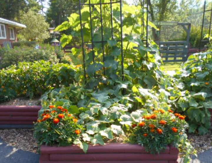 Colchester, Vermont, United States