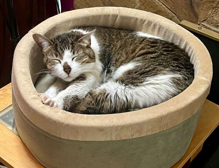 Minneapolis, Minnesota, United States