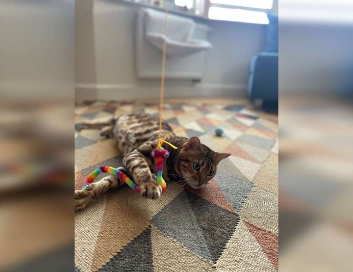 Oostende, Vlaanderen, Belgium