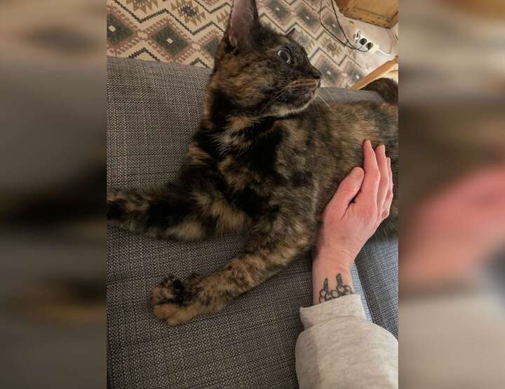 Värnhem, Malmö, Skåne län, Sweden