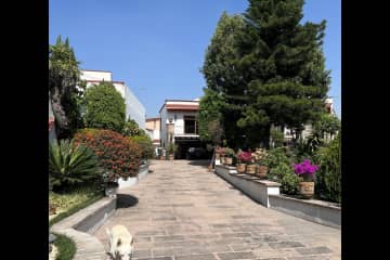 Coyoacán,Mexico City,Mexico