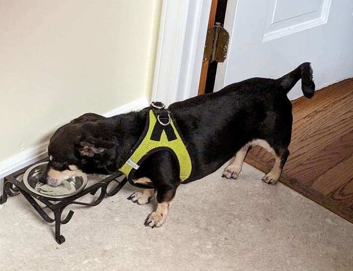 Cary, North Carolina, United States