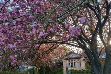 Hilderthorpe,Otago,New Zealand