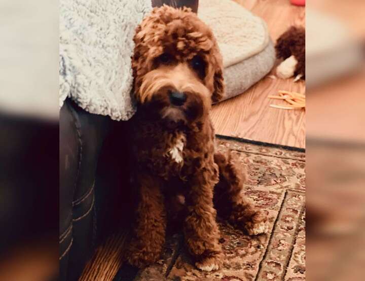 Easley, South Carolina, United States