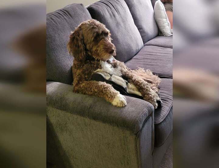 Spring Lake, Michigan, United States