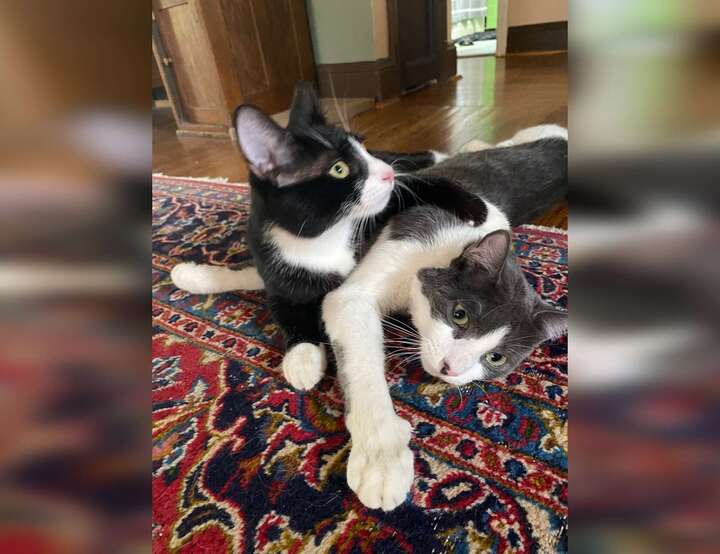 Takoma Park, Maryland, United States