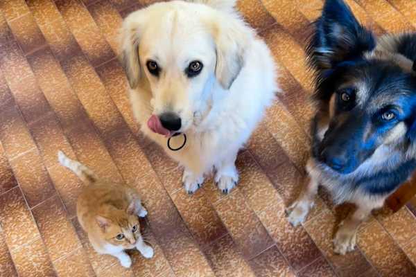 Kathianá, Crete, Greece