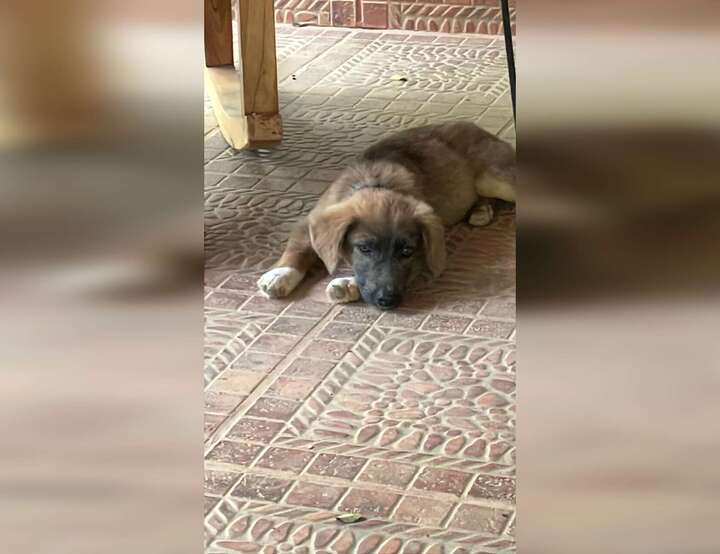 Parrita, Puntarenas Province, Costa Rica