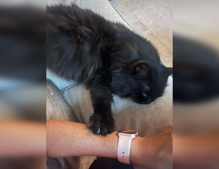 Central Region, Singapore