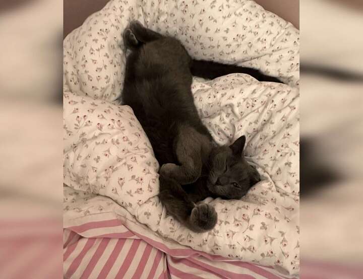 Bandaksli, Telemark, Norway