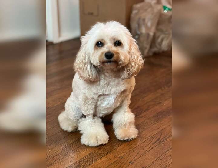 Savannah, Georgia, United States