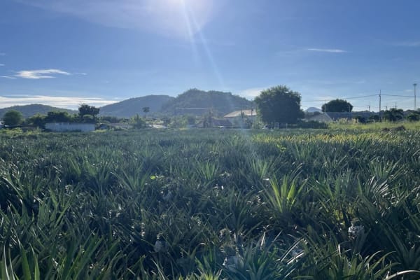 Hua Hin, Prachuap Khiri Khan, Thailand