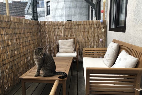 Vienna, Vienna, Austria