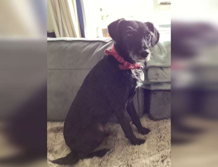 Coleraine, Northern Ireland, United Kingdom