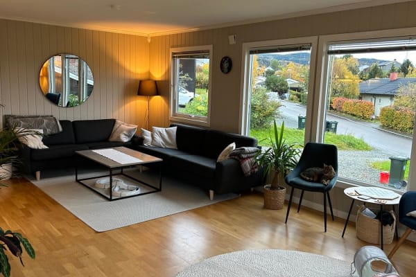 Trondheim, Sor-Trondelag, Norway