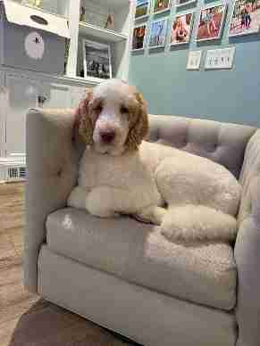 Mount Pleasant, Near Isle of Palms Connector, Mount Pleasant, Charleston, South Carolina United States