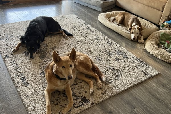 Cave Creek, Arizona, United States