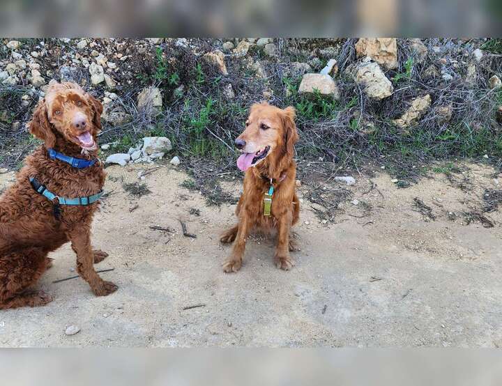 Jerusalem, Jerusalem District, Israel
