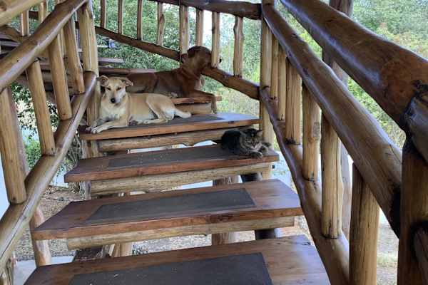 Diani Beach, Kwale, Kenya