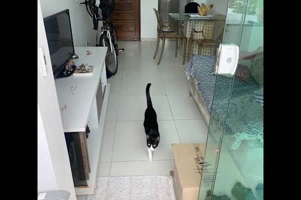 Aracaju, Sergipe, Brazil