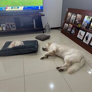 Johnston Nt, Northern Territory, Australia