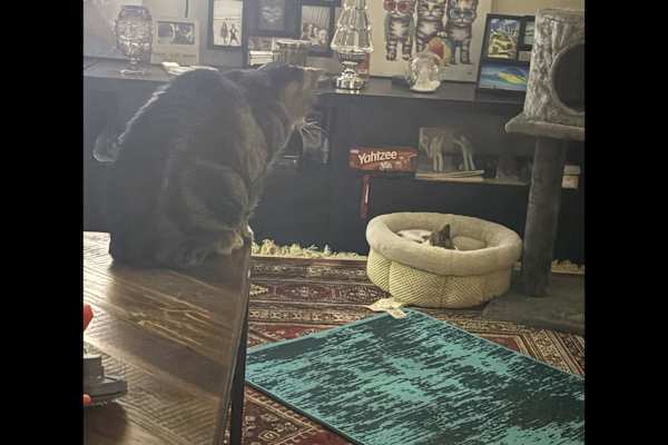 Toronto, Ontario, Canada