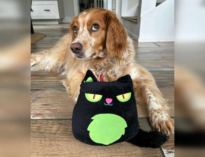 Clinton, Tennessee, United States