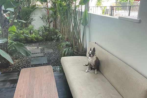 Singapore, Central Singapore, Singapore