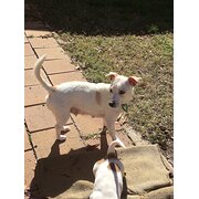 Theodore, Australian Capital Territory, Australia