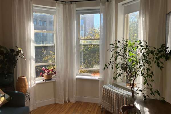 Brooklyn,New York,United States