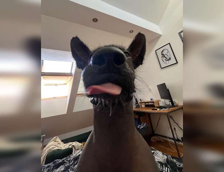 Innere Stadt, Wien, Austria