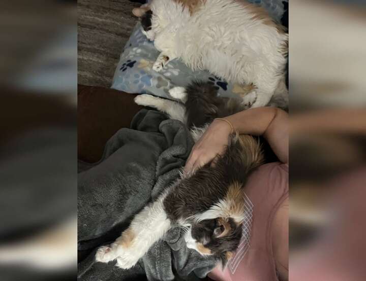 Fort Collins, Colorado, United States