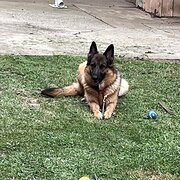 Canberra, Australian Capital Territory, Australia