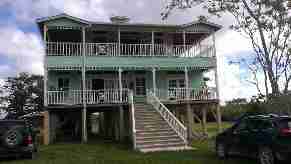 Selena, Jungle, Spanish Lookout, Cayo Belize
