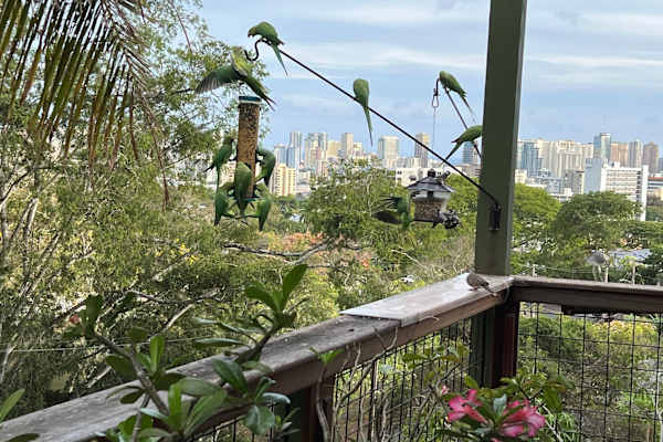 Honolulu, Hawaii, United States