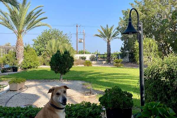 Paphos, Pafos, Cyprus