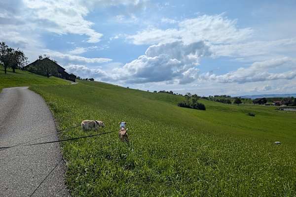 Zug, Zug, Switzerland