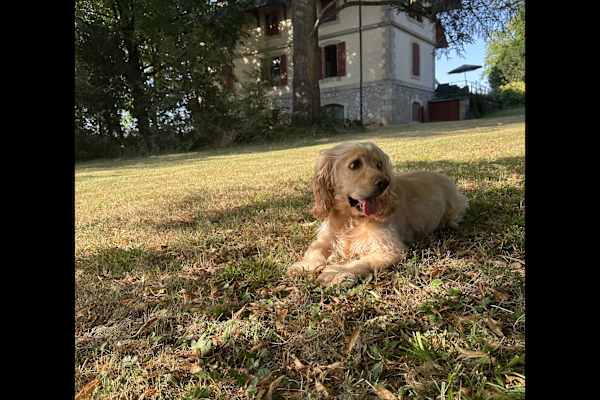 Genève, Geneva, Switzerland