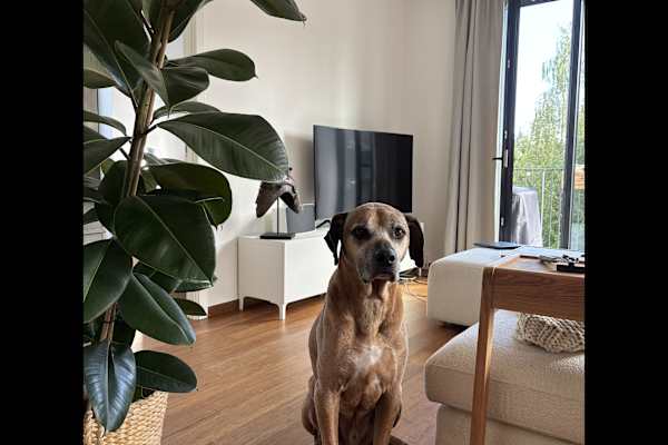 Frederiksberg, Capital Region, Denmark