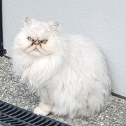 Tranmere, Tasmania, Australia