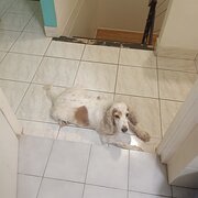 Coconut Grove, Northern Territory, Australia