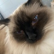 Katherine East - Christmas, Northern Territory, Australia