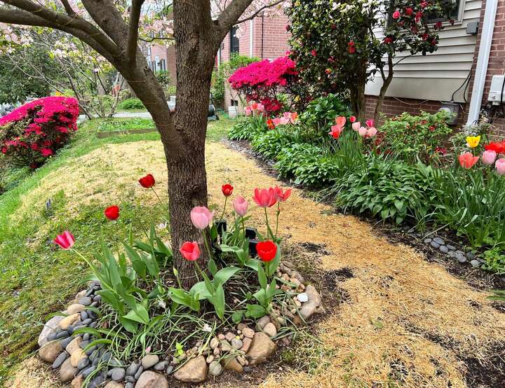 Takoma Park, Maryland, United States