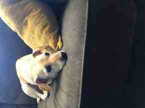 County Island, West, Cave Creek, Arizona United States