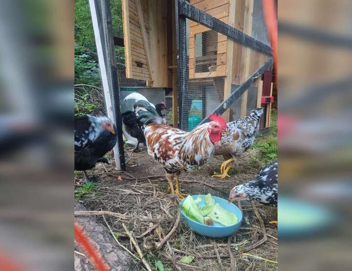 Höör, Skåne län, Sweden