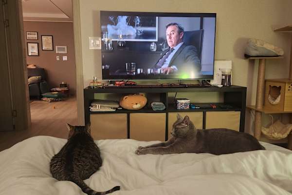 Osan, Gyeonggi-do, South Korea